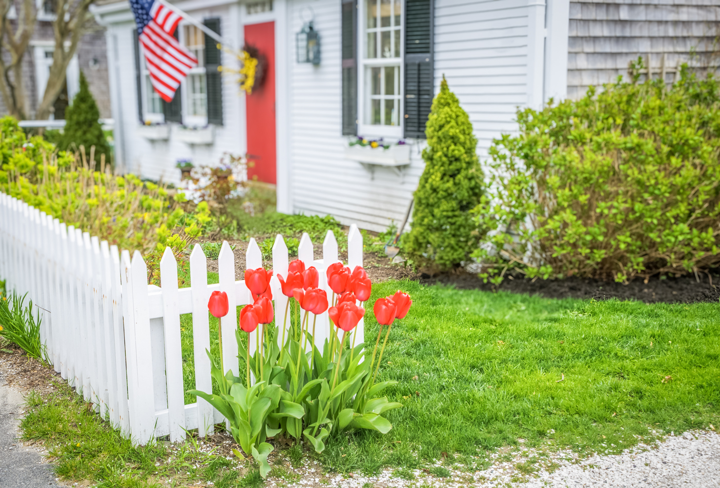 A white single family home is in the background of a grouping of red flowers that sits in the foreground.