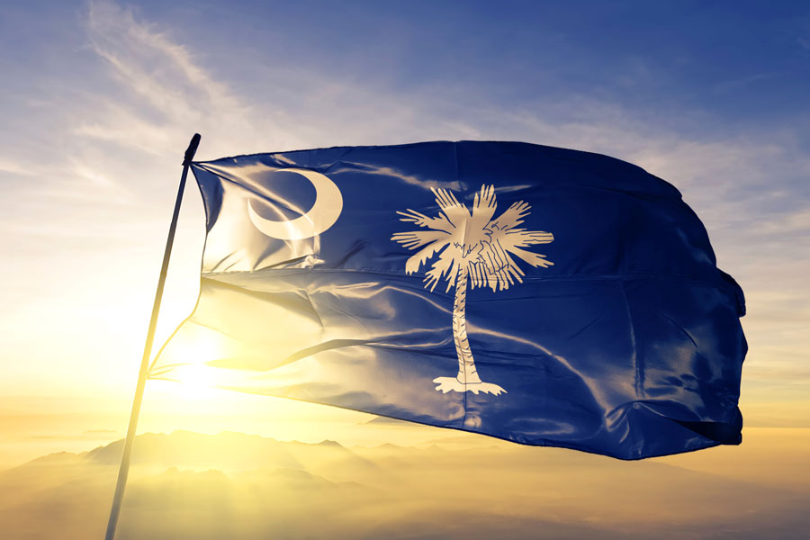 Fees and Fines - SC Flag